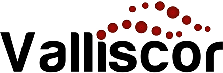 Valliscor Wins with Collaboration amoung Founders, Funders and Community Leaders